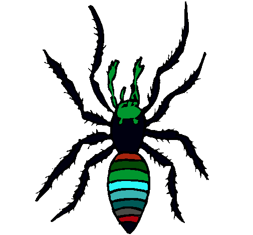 Araña tigre