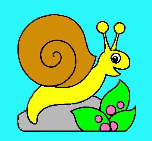 Caracol