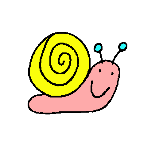 Caracol 4