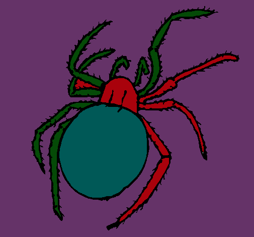 Araña venenosa