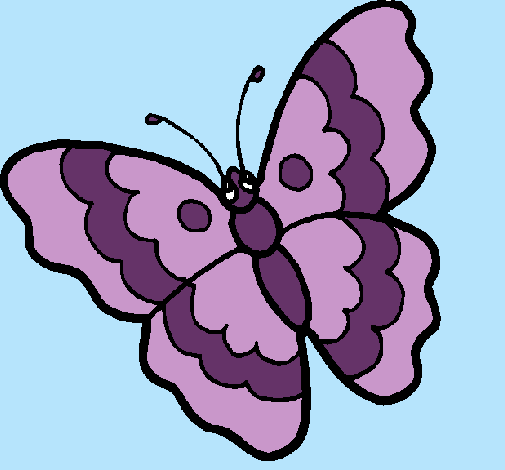 Mariposa