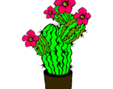 Dibujo Flores de cactus pintado por musalen