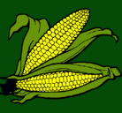 Dibujo Mazorca de maíz pintado por leidi