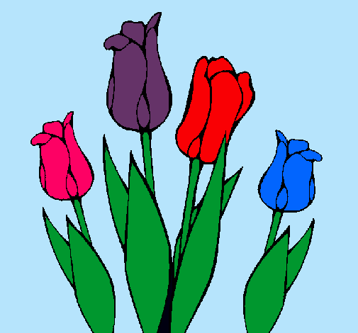 Tulipanes