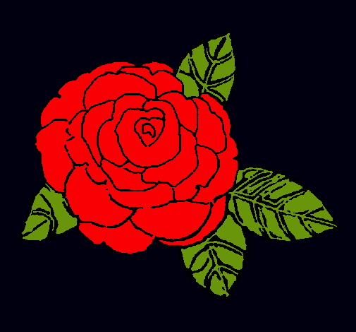 Rosa