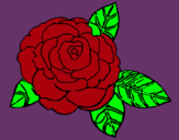 Dibujo Rosa pintado por mariae