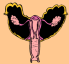 Dibujo Vagina pintado por vaginaaa