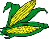 Dibujo Mazorca de maíz pintado por elotitoo