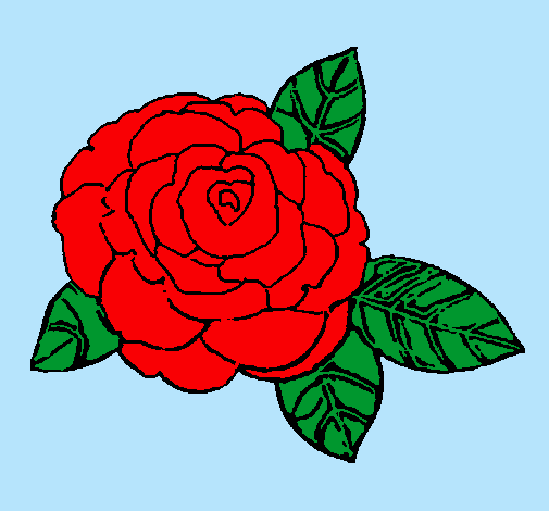 Rosa