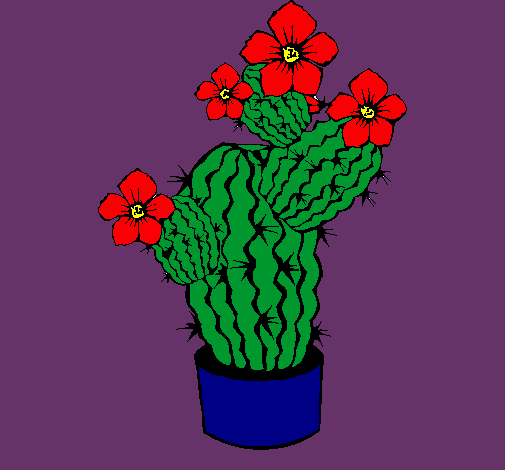 Flores de cactus