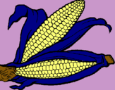 Dibujo Mazorca de maíz pintado por ANDREINNNNNN