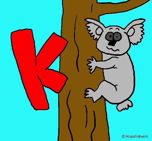 Koala