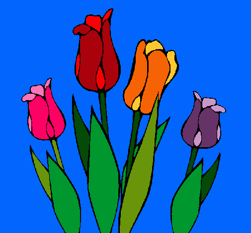 Tulipanes