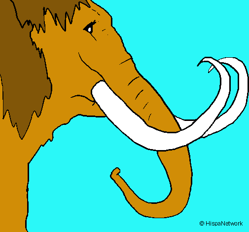 Mamut