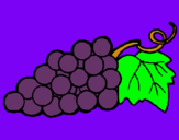 Dibujo racimo pintado por Uvas