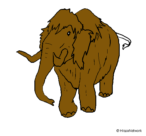 Mamut II