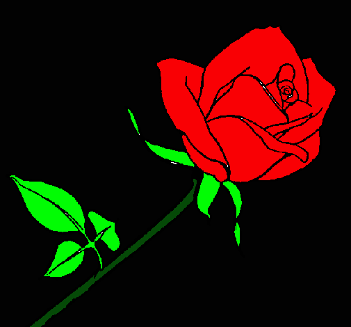 Rosa