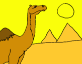Dibujo Camello pintado por catis2648