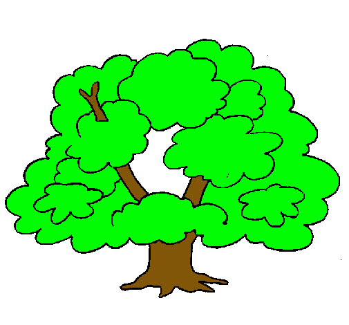 Árbol