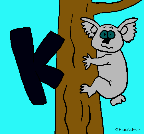 Koala