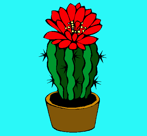 Dibujo Cactus con flor pintado por MINEYA