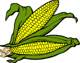Dibujo Mazorca de maíz pintado por papapap