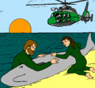 Dibujo Rescate ballena pintado por franxe
