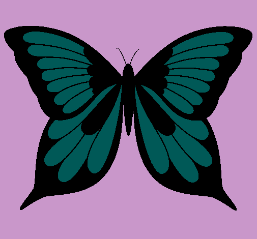 Mariposa 8