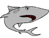 Dibujo Tiburón pintado por hgcttt