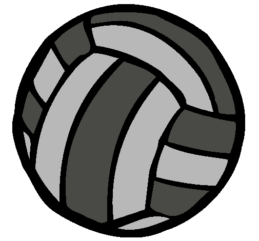 Pelota de voleibol