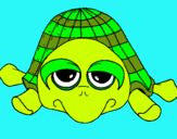 Dibujo Tortuga pintado por -sel