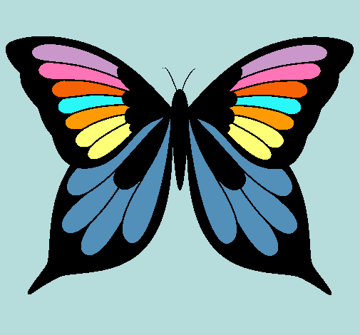 Mariposa