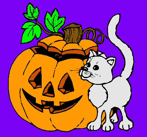 Calabaza y gato