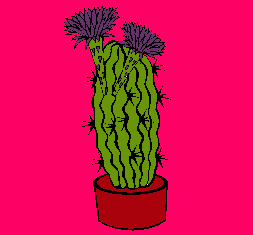 Cactus con flores