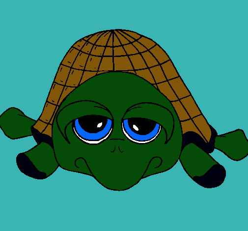 Tortuga