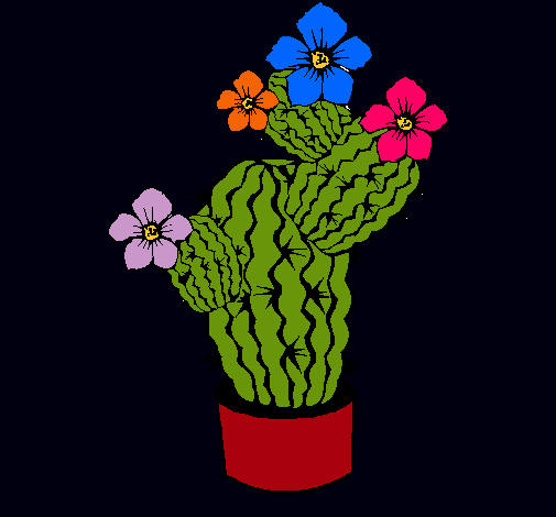 Flores de cactus