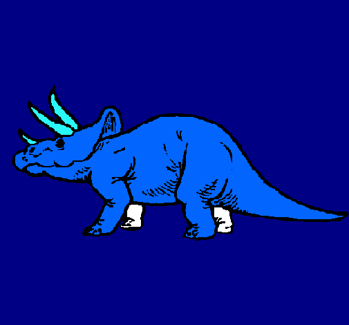 Triceratops