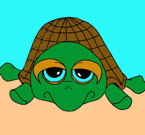 Tortuga