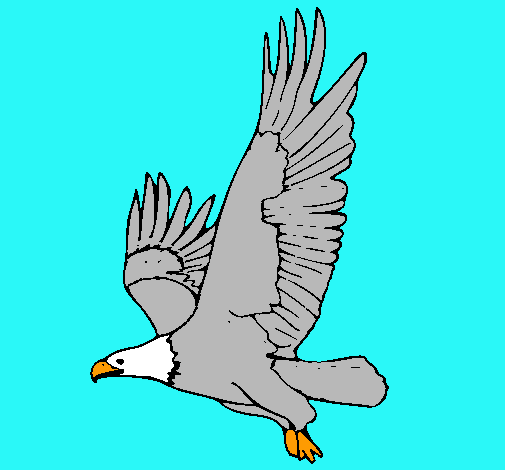 Águila volando