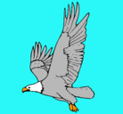 Dibujo Águila volando pintado por abluspin
