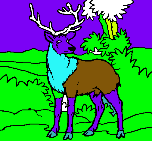 Dibujo Ciervo adulto pintado por natu