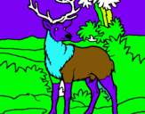 Dibujo Ciervo adulto pintado por natu