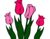 Dibujo Tulipanes pintado por jimana
