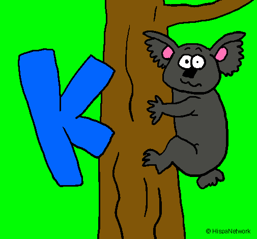 Koala