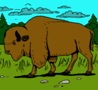Dibujo Búfalo  pintado por denilson