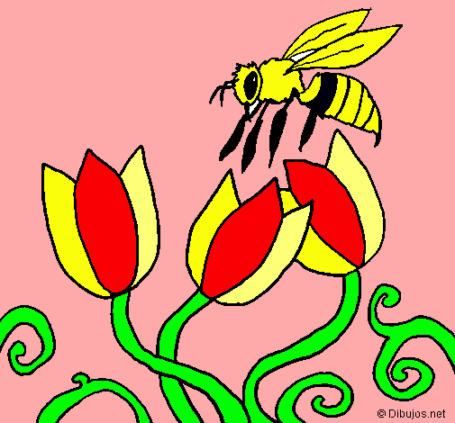 Abeja