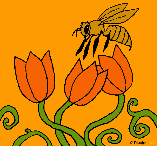 Abeja