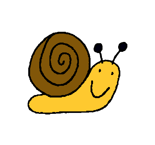 Caracol 4