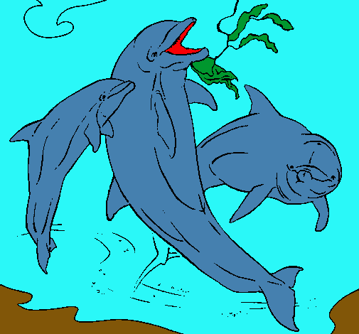 Delfines jugando