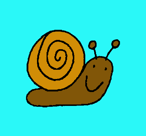 Caracol 4